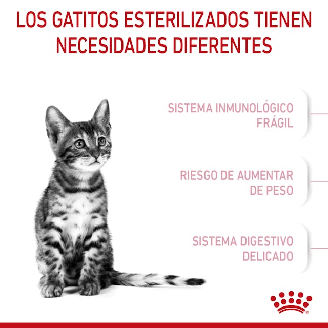 Royal Canin Kitten Spayed / Neutered 1.14 Kg - Alimento para Gatito Royal Canin Kitten Spayed / Neutered 1.14 Kg - Alimento para Gatito